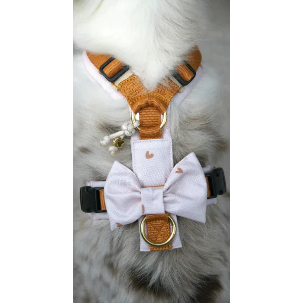 Y-Geschirr BT EasyWalk® Ylvi Bundle mit Leckerliebeutel und Schleife - Beagletuff