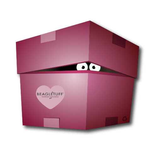 BT EasyWalk® Softshell Überraschungsbox