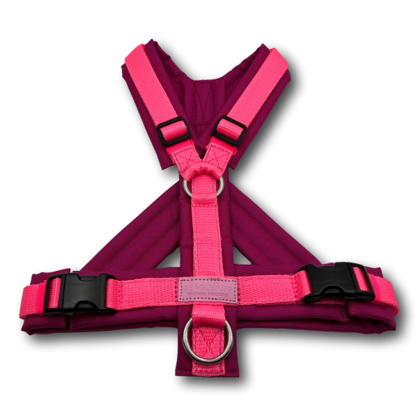 Y-Geschirr BT EasyWalk® Neon Edition pink