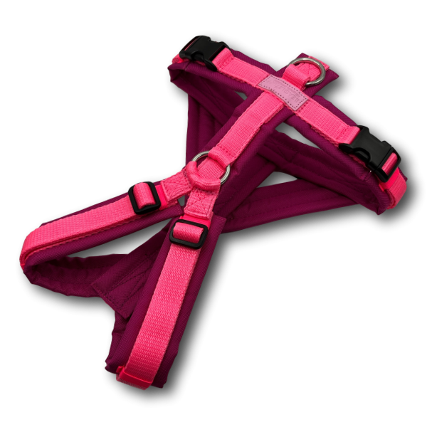 Y-Geschirr BT EasyWalk® Neon Edition pink